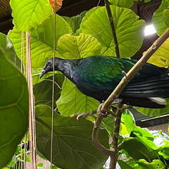 24-12-06 13-35-14 1635